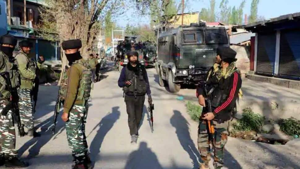 Grenade attack on minorities: Police arrest 1 more hybrid terrorist in Budgam