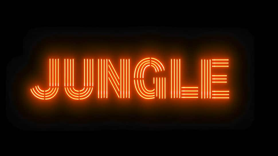 Trailer of much-anticipated series &#039;Jungle&#039; is finally OUT- Watch