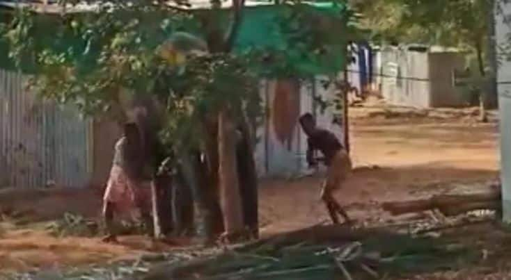 Video shows Temple elephant brutally beaten, PETA seeks action