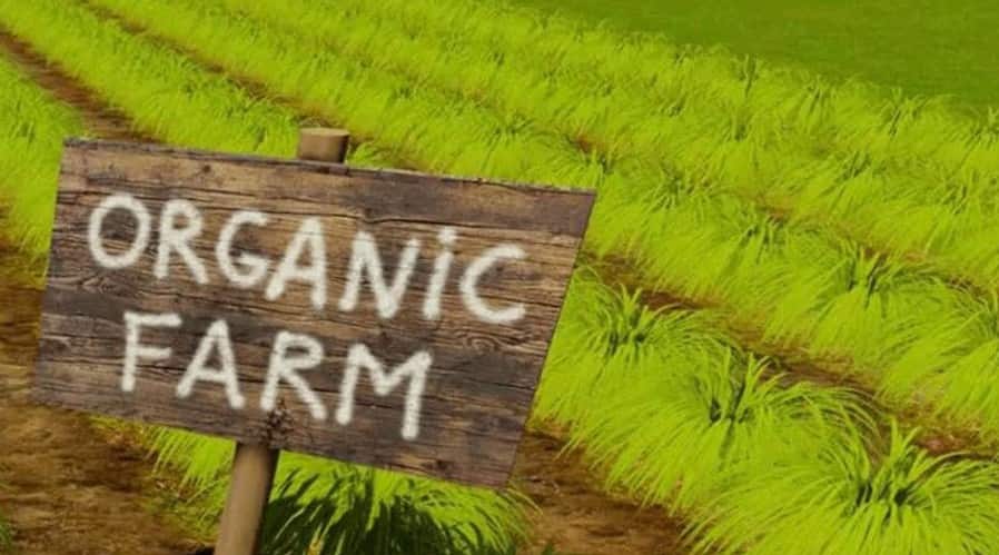 Ambrosia Organic Farm: The intriguing story about India&#039;s first organic company