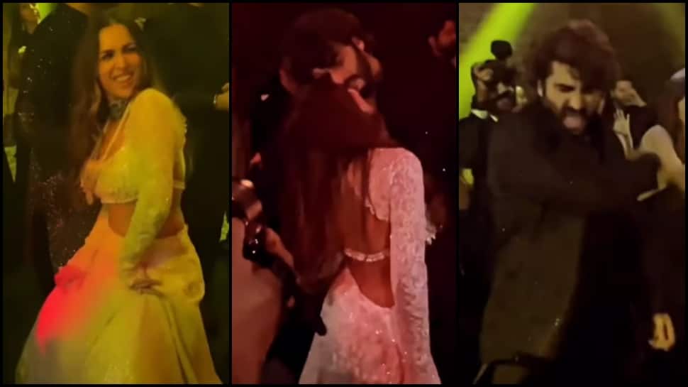 Malaika Arora-Arjun Kapoor flirt with each other while grooving on &#039;Chaiyya Chaiyya&#039;- WATCH