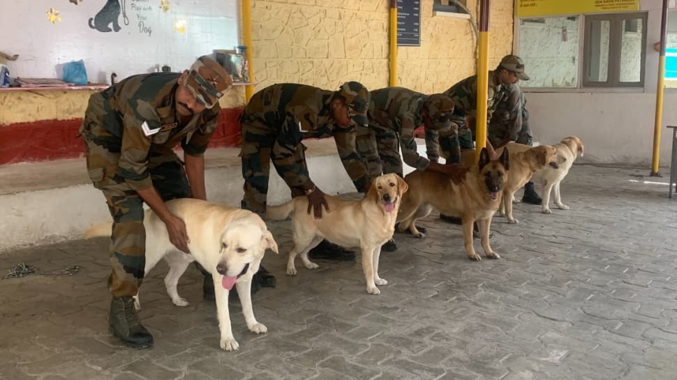 Meet Indian Army Dogs: First responder in anti-terror operations in Kashmir