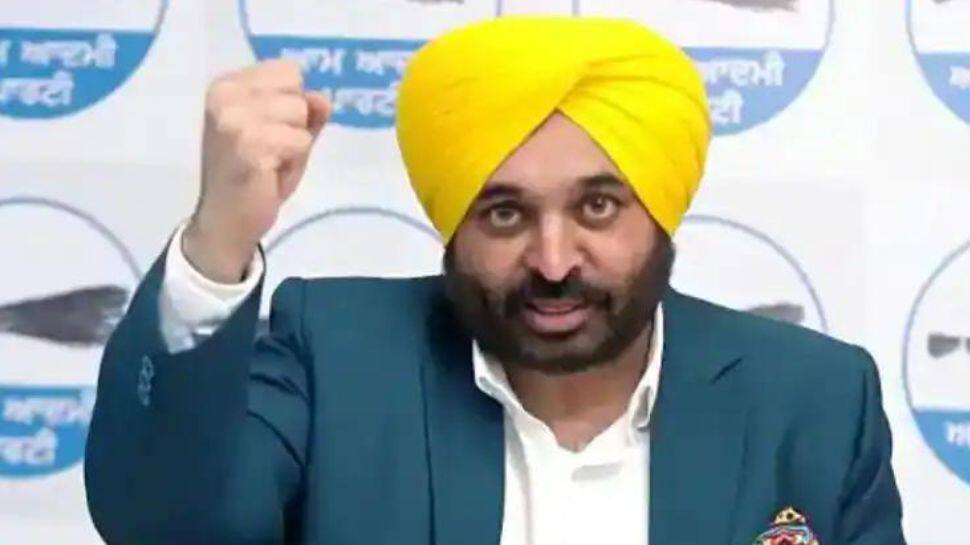 Punjab CM Bhagwant Mann gives nod to draft EV policy, buyers to get cash incentives