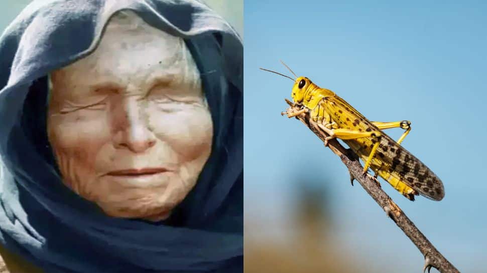 Baba Vanga&#039;s SHOCKING prophecy for India, Bulgarian mystic predicted BIG natural disaster in 2022 