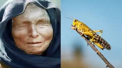Baba Vanga's SHOCKING prophecy for India, Bulgarian mystic predicted THIS