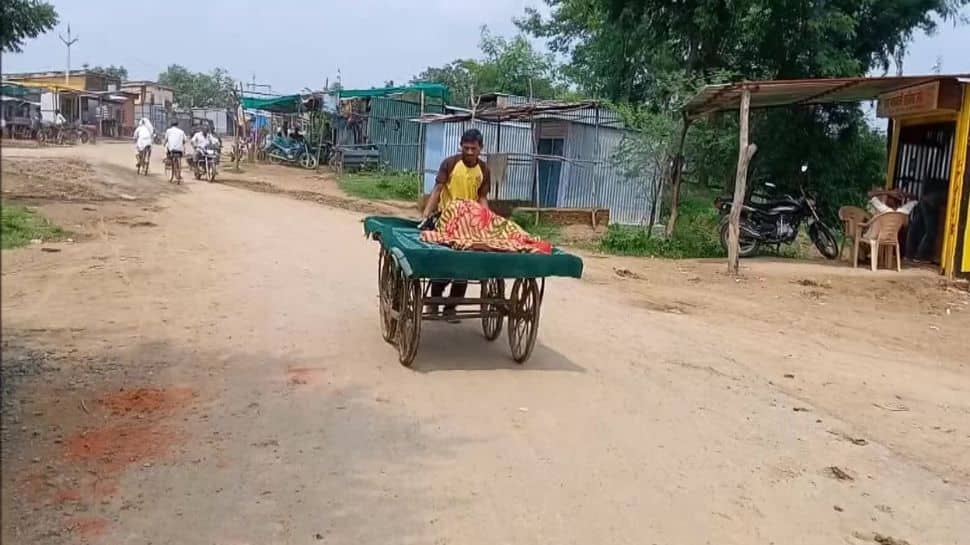 No ambulance for 2 hours, MP man carries pregnant wife to hospital in a push cart; see pics