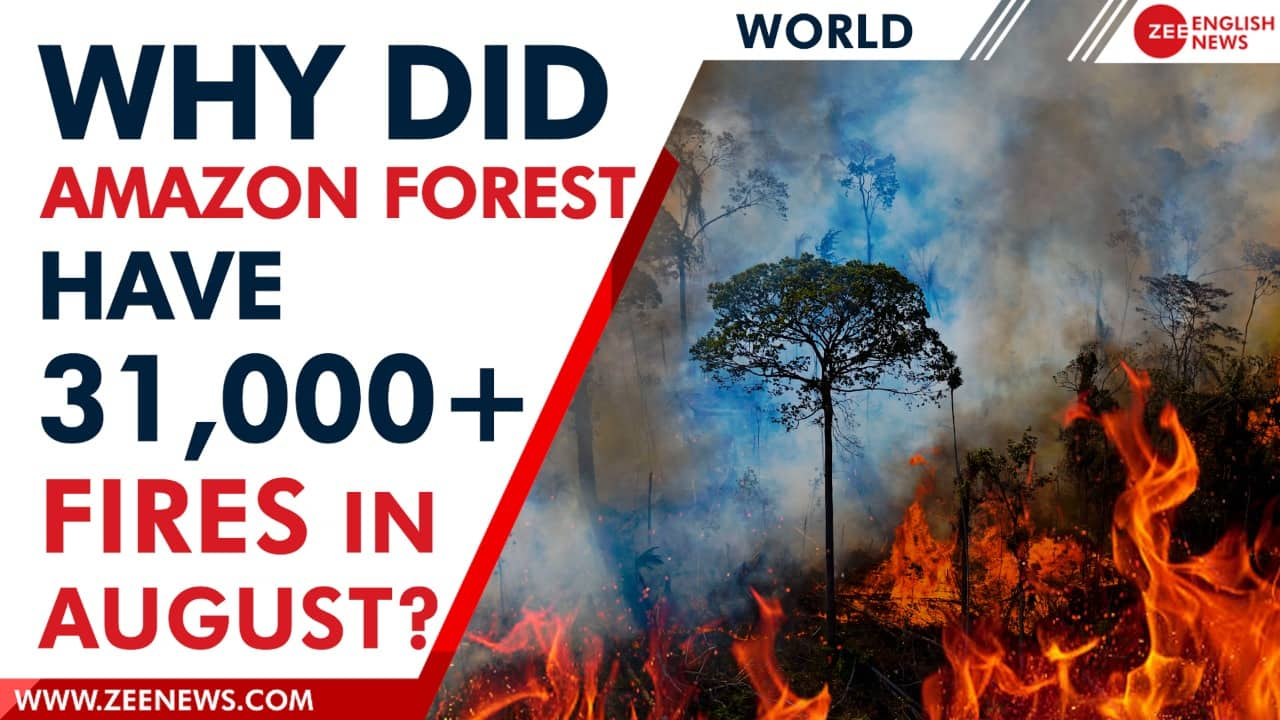 Climate Change: Amazon Forest is raging with 31,000+ fires | Zee News