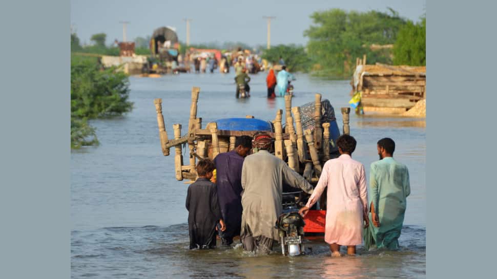 Les inondations au Pakistan menacent l’approvisionnement alimentaire de l’Afghanistan, l’ONU s’inquiète de la sécurité alimentaire |  Nouvelles du monde