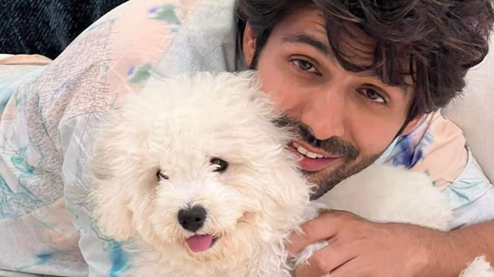 Kartik Aaryan’s cute friend shares best wishes for Satyaprem ki Katha, SEE PIC