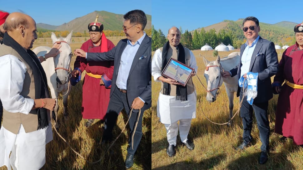 Rajnath Singh receives horse as a &#039;special gift&#039; from Mongolian President, names it &#039;Tejas&#039;