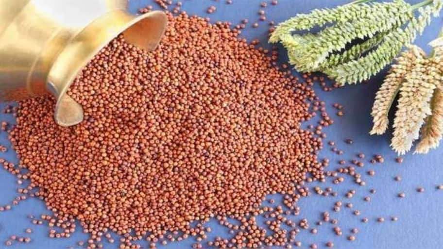 8 reasons to include ragi in your diet for weight loss | Culture News ...