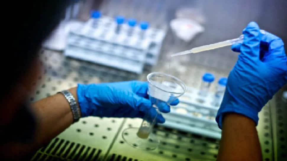 Antibodies capable of fighting all known Covid strains found in Israel: Study
