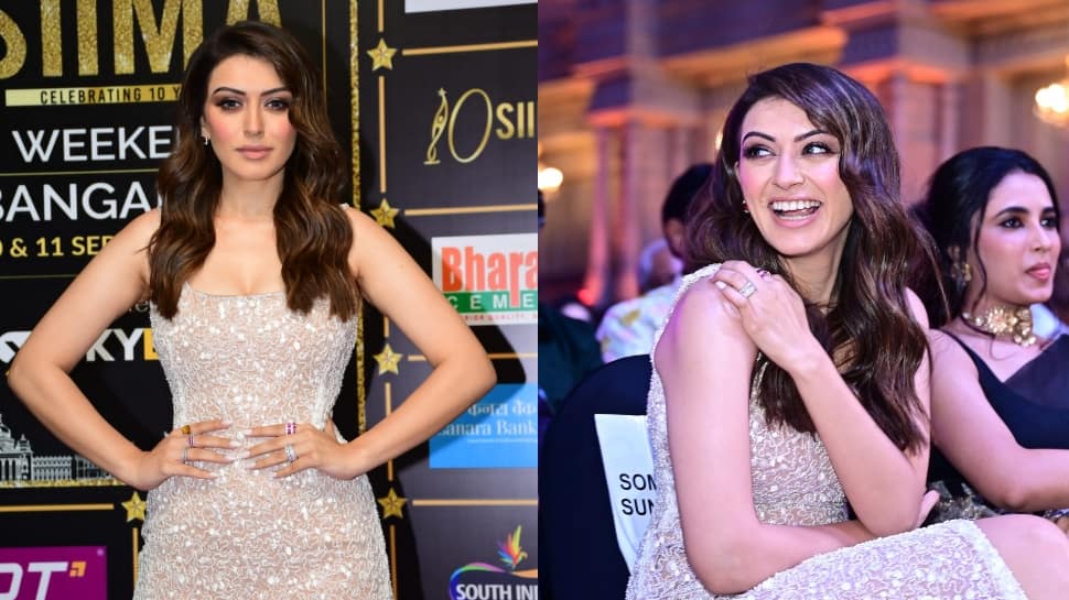 Hansika Motwani 