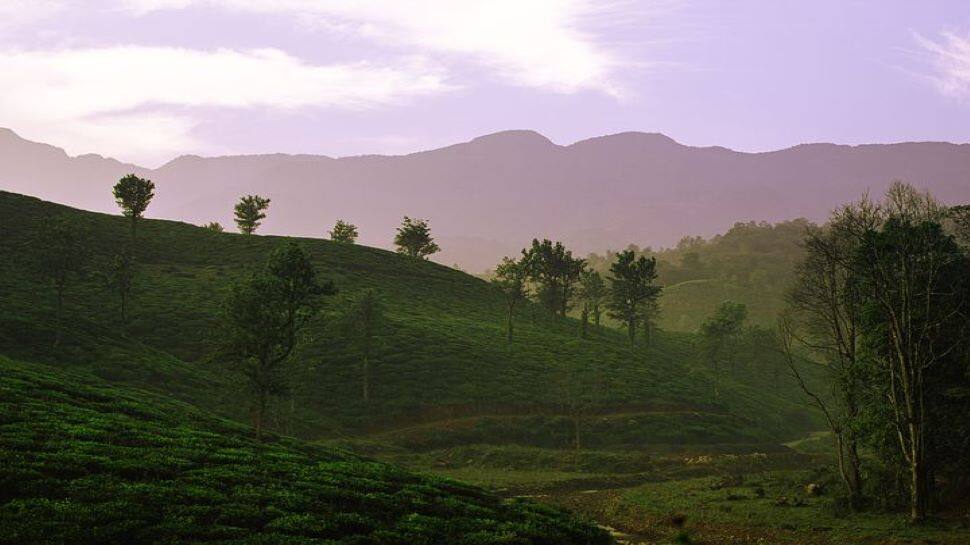 Wayanad