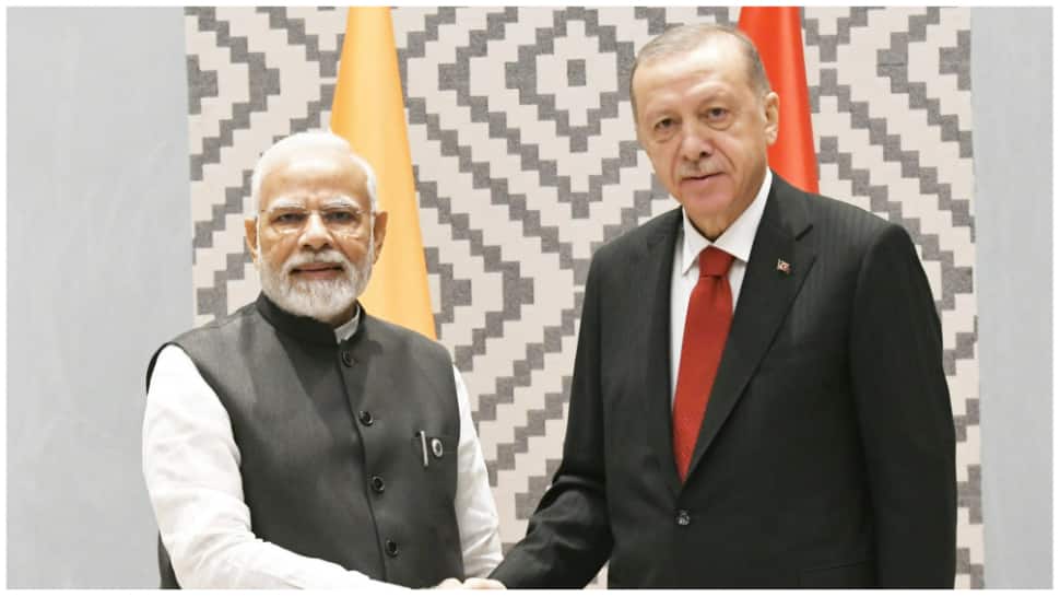 PM Narendra Modi meets Turkish President Erdogan; discuss ways to deepen bilateral cooperation