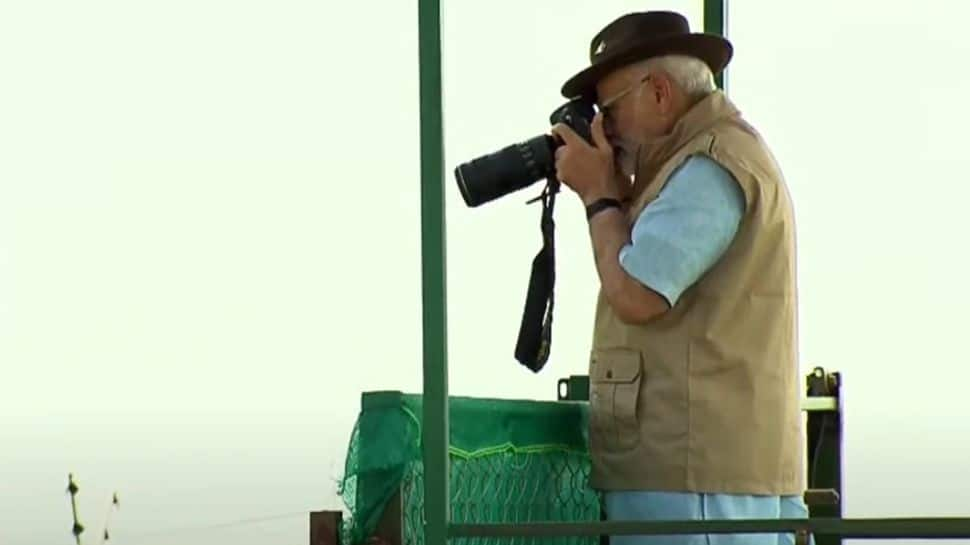 PM Modi's click: Cheetahs in MP national park