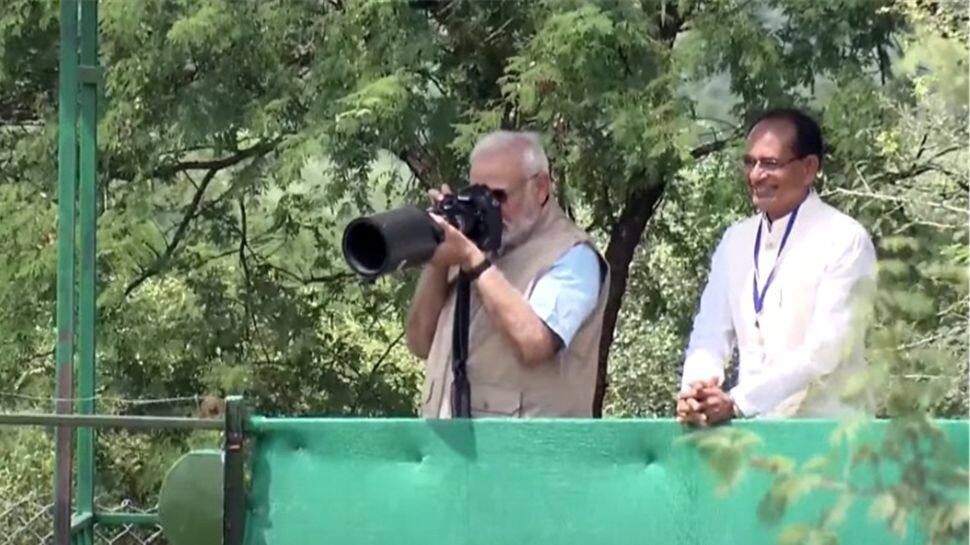 Cheetah watching: PM accompanied by MP CM Shivraj Singh Chouhan