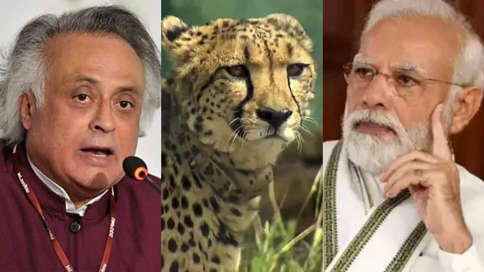 ‘Pathological Liar’: Congress slams PM Narendra Modi over his criticism of previous govts on Cheetah re-introduction