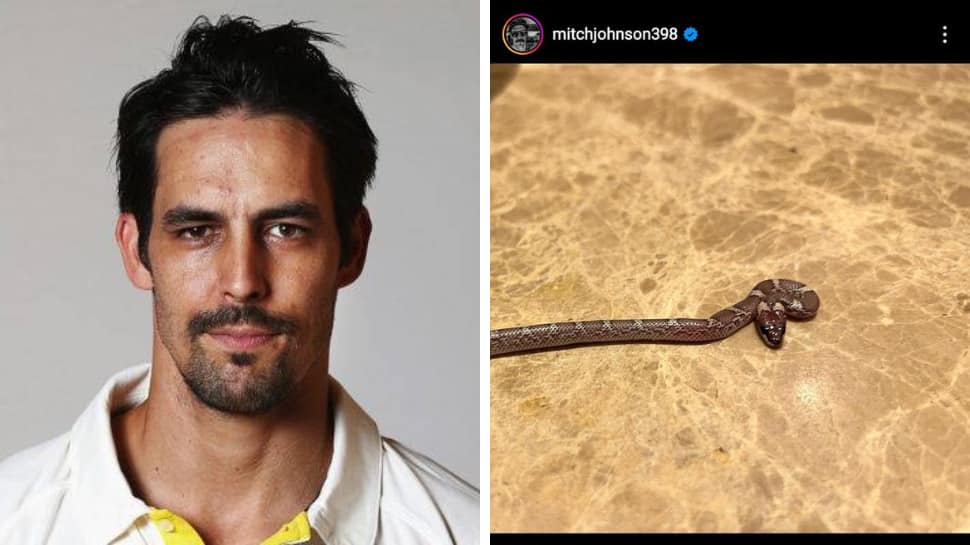 Shocking! Mitchell John shares pictures of SNAKE in his hotel room, check HERE