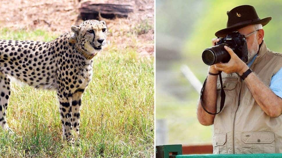 Is viral photo of PM Modi holding camera with lens cap fake? Madhya Pradesh govt orders inquiry