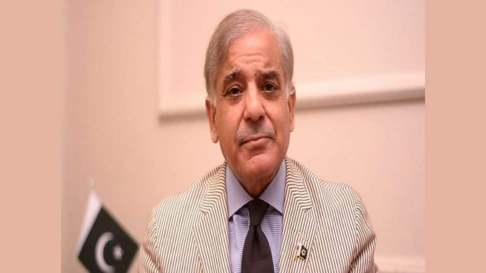 ‘Game over for the ruling government now,’:  Pakistan&#039;s former Interior Minister slams Shehbaz Sharif for deteriorating economic situation