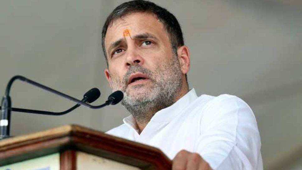 Congress&#039; Haryana, Jharkhand unit join 8 other states to make Rahul Gandhi Cong chief