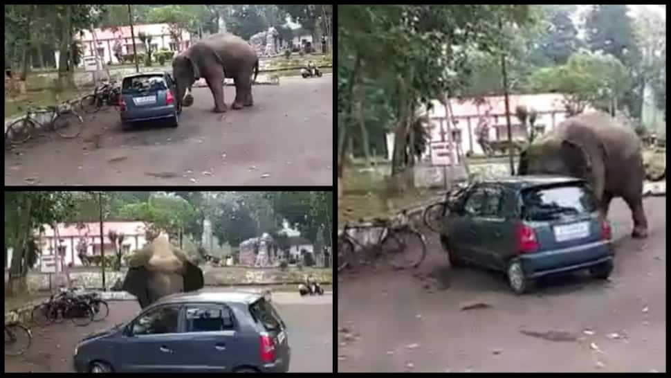 &#039;Why humans should have all fun,&#039; say netizens after elephant pushes car like a toy- Watch viral video