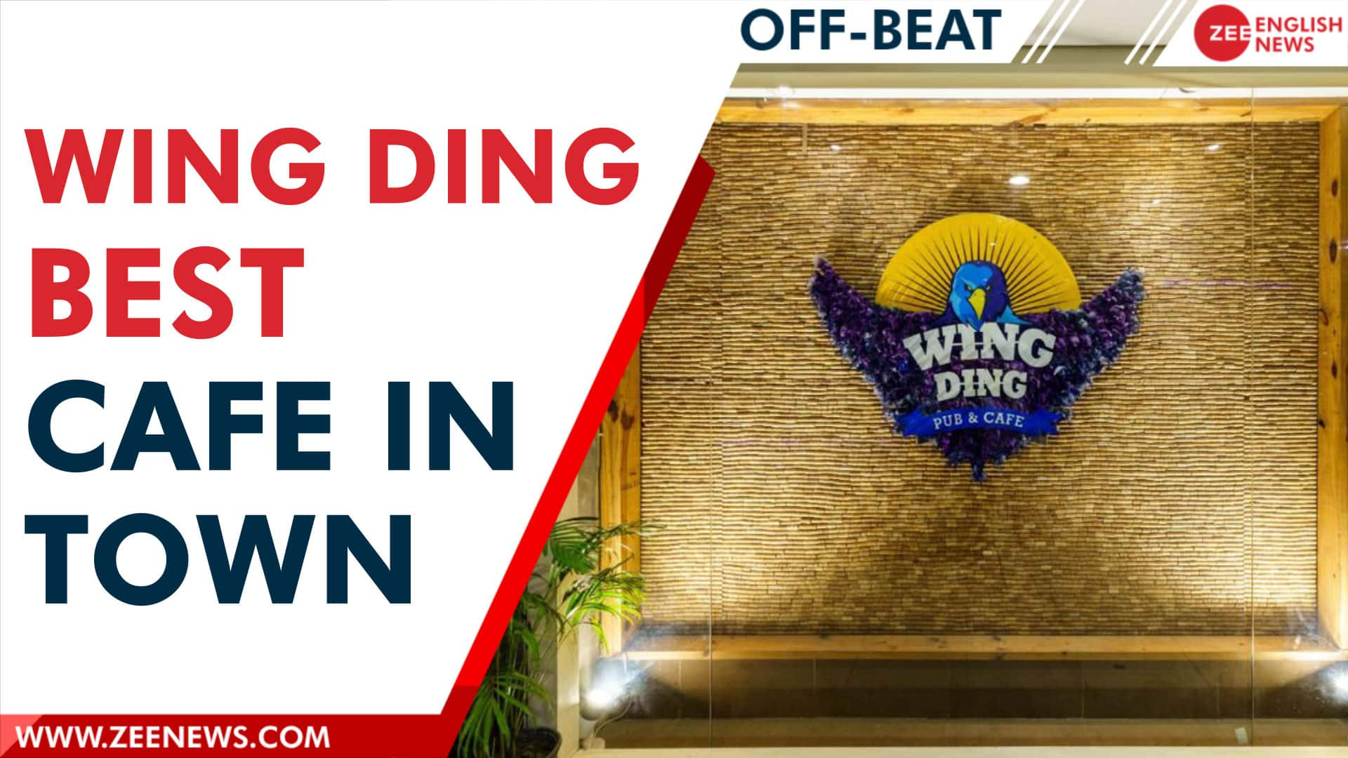 Wing Ding, all new crazy joint for all your crazy meets! Zee News