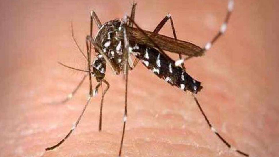 Dengue outbreak in Delhi: With 129 new cases, tally crosses 500-mark