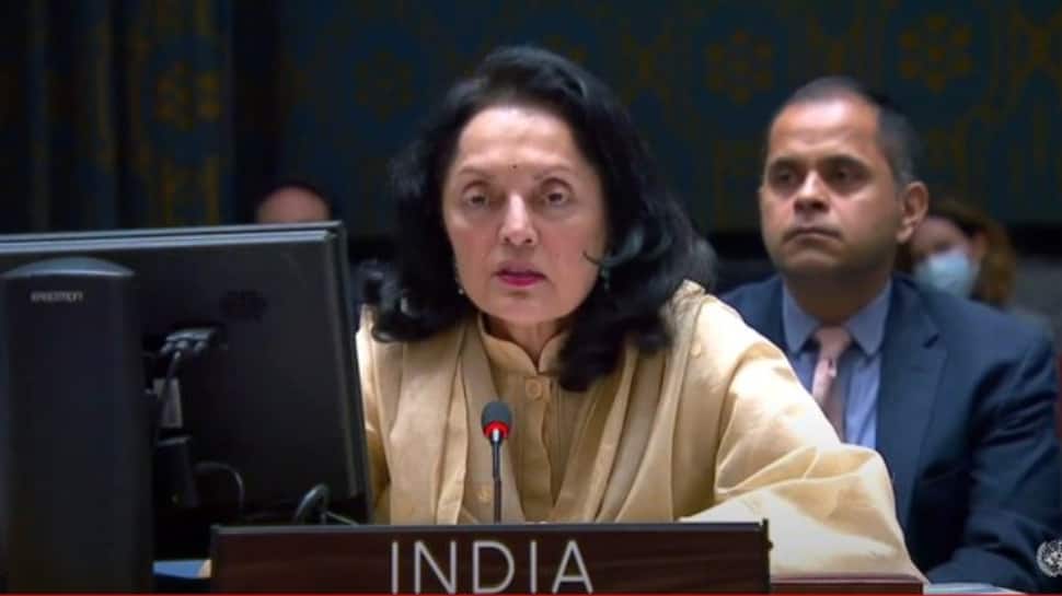 ‘Resolve conflict through diplomacy, dialogue’: India on Russia-Ukraine war at UNSC