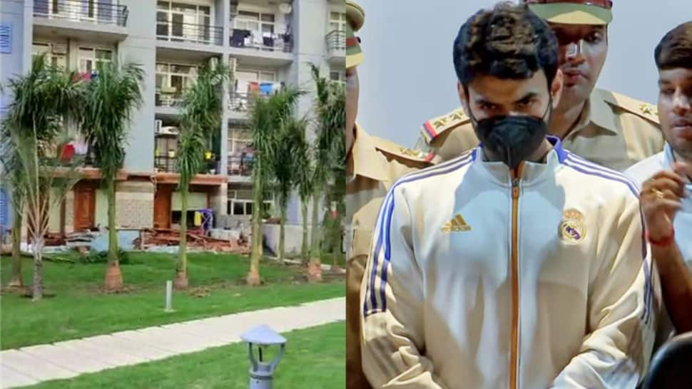 Shrikant Tyagi case: Palm trees back in Noida society; &#039;remove them in two days&#039;, warn officials