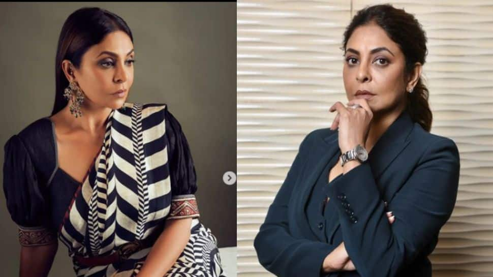 Shefali Shah shares a collage of all the looks that she has played, says &#039;living different lives that’s what I love...&#039;