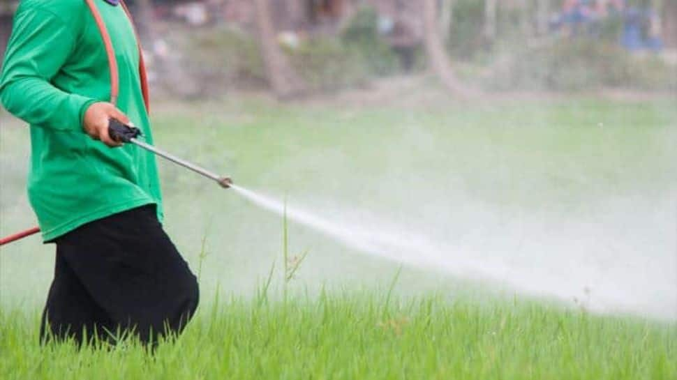 How to reduce harmful effects of pesticides in day-to-day life