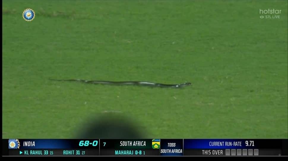 BIZARRE! India vs South Africa 2nd T20I stopped due to SNAKE - WATCH