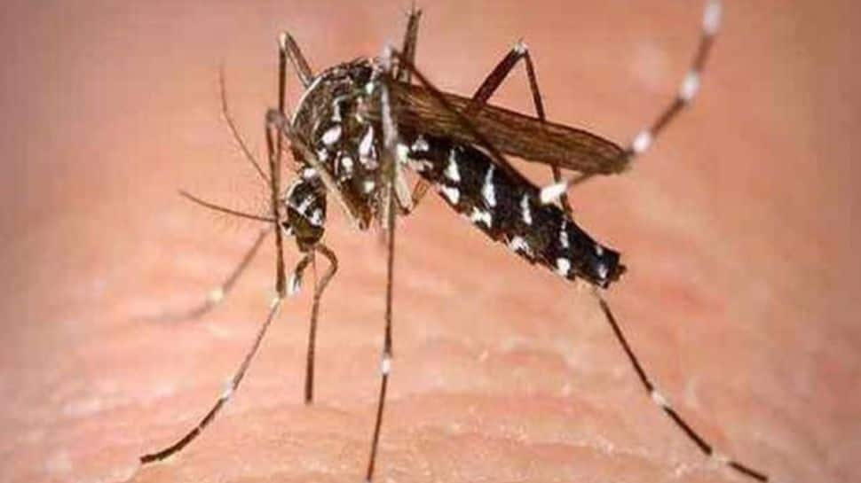 Dengue outbreak in Delhi: With over 400 fresh cases, tally rises to 937 in national capital