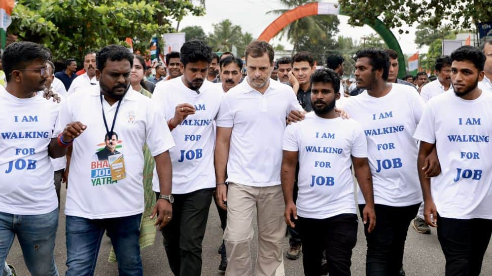 Bharat Jodo Yatra completes 1 month on the road, Congress shares a look back at Rahul Gandhi’s journey - WATCH