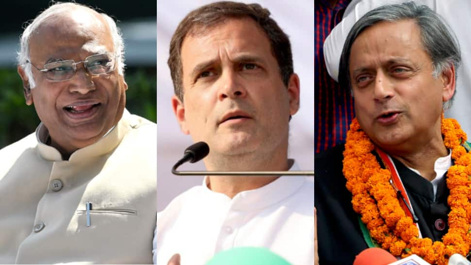 Rahul Gandhi on claims that next Congress president would be &#039;remote-controlled&#039;: &#039;Both Kharge and Tharoor are...&#039;