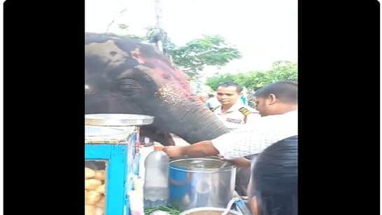 Viral Video: UNBELIEVABLE! Elephant eats Panipuris at Roadside Stall in Assam, Netizens react- WATCH