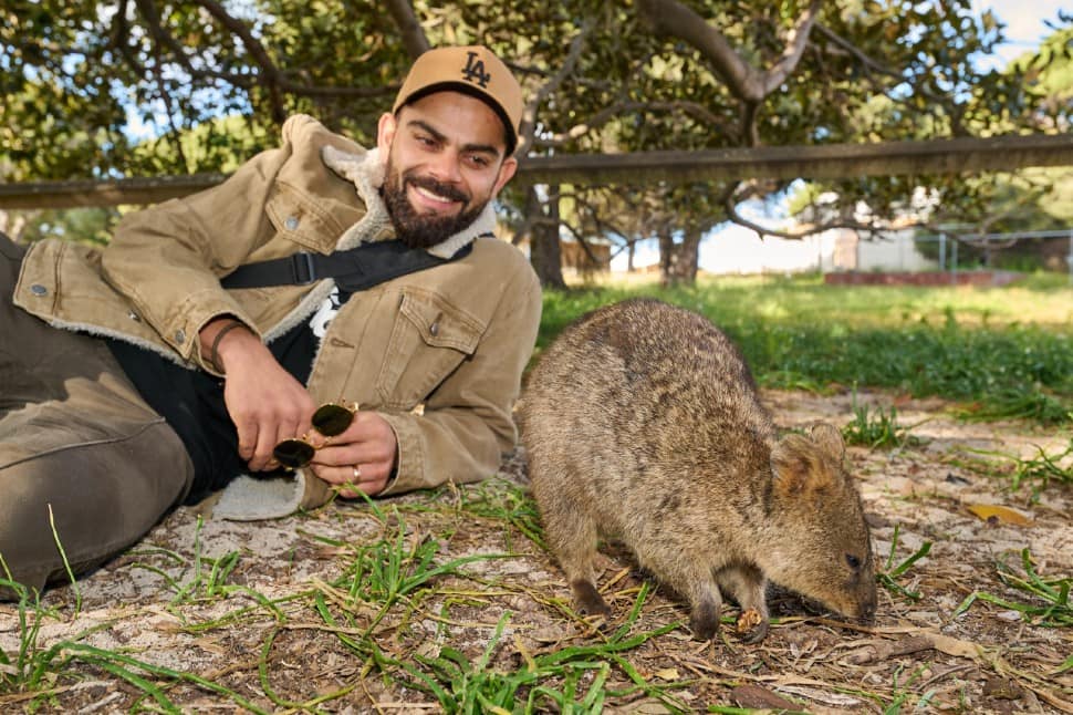 Former India captain Virat Kohli is happy sitting with a Quokka at Rottnest Island in Perth. (Source: Twitter)