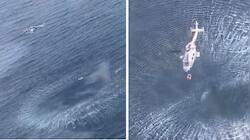 MiG-29K crash: When Indian Coast Guard plane located Navy's fighter jet pilot