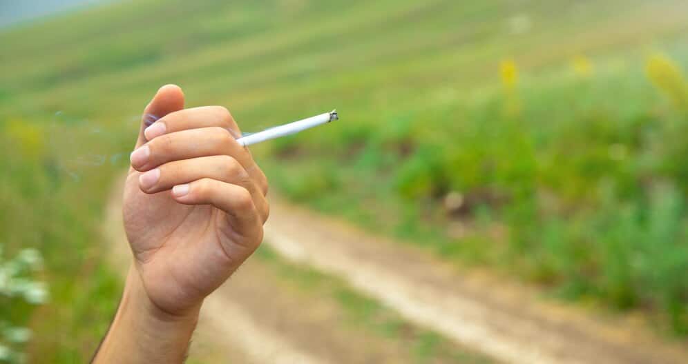 Survey: Most youngsters prefer menthol cigarettes over regular cigarettes
