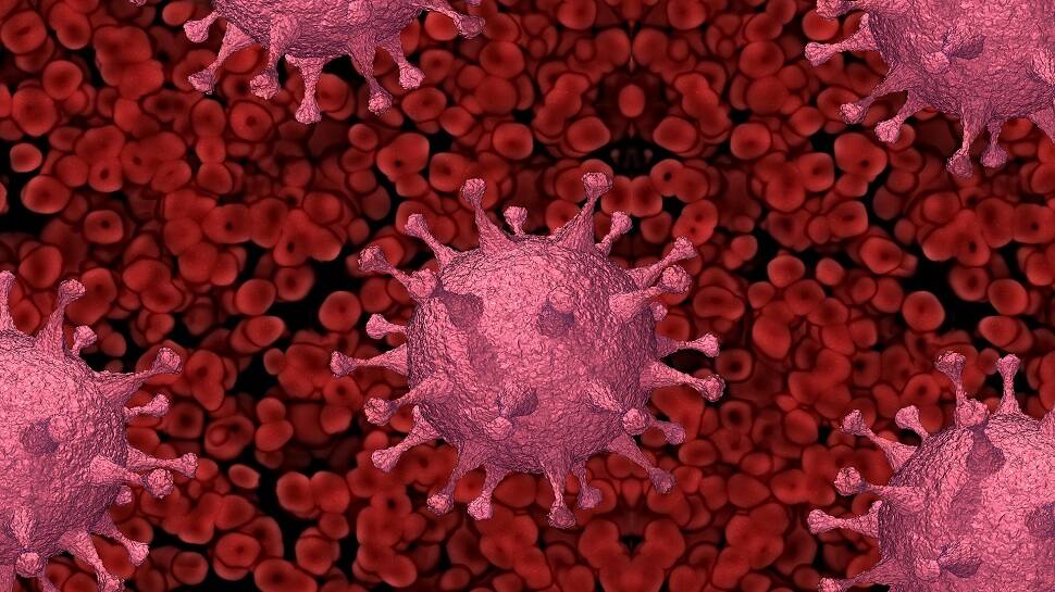 Pandemic alert: Omicron poses new threat as India detects COVID's highly infectious sub variant BF.7