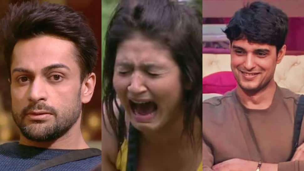 Bigg Boss 16: Fans call out double standards, demand Ankit be punished just as Shalin was!