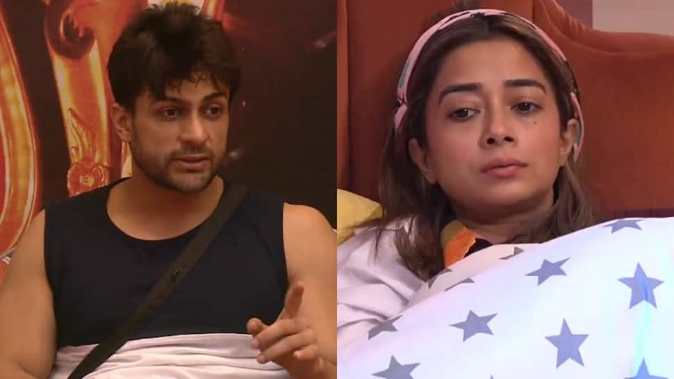 Bigg Boss 16: Shalin clears the air, says Tina wasn&#039;t the first person to point out about Sumbul!