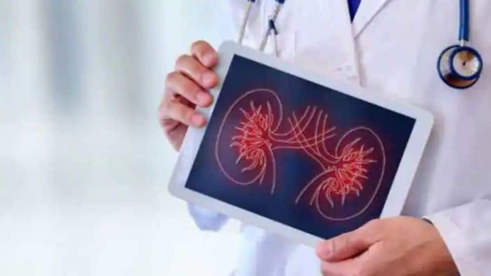 Gene signature indicates the prognosis of kidney cancer reveals study