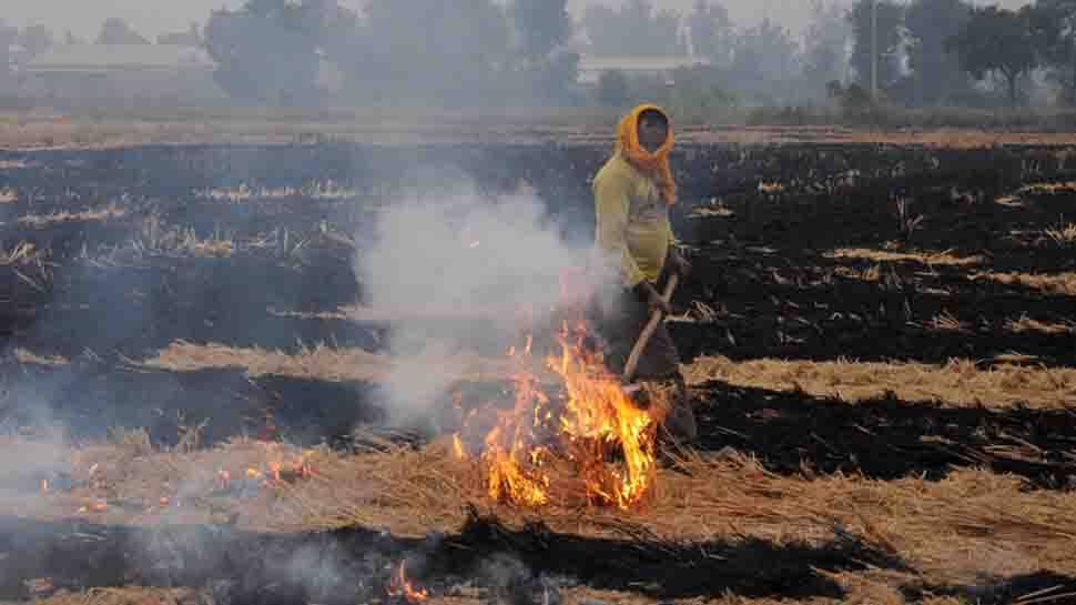 Centre accuses Punjab of not taking adequate steps to prevent stubble burning