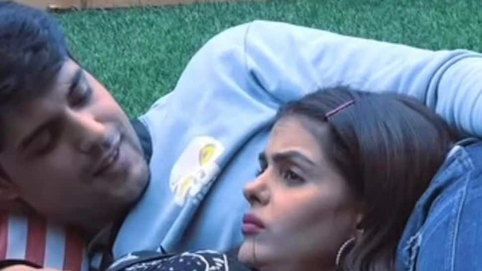 Love blossoming between Ankit Gupta and Priyanka Chahar Chaudhary in Bigg Boss house? Watch! 