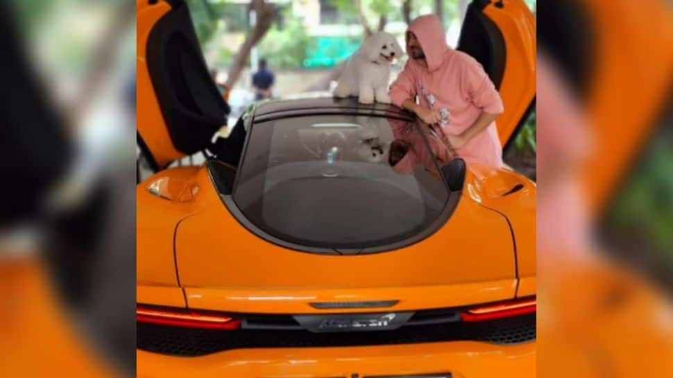 WATCH: Video of Kartik Aaryan&#039;s pet dog sitting on his Rs 3.73 crore McLaren goes VIRAL