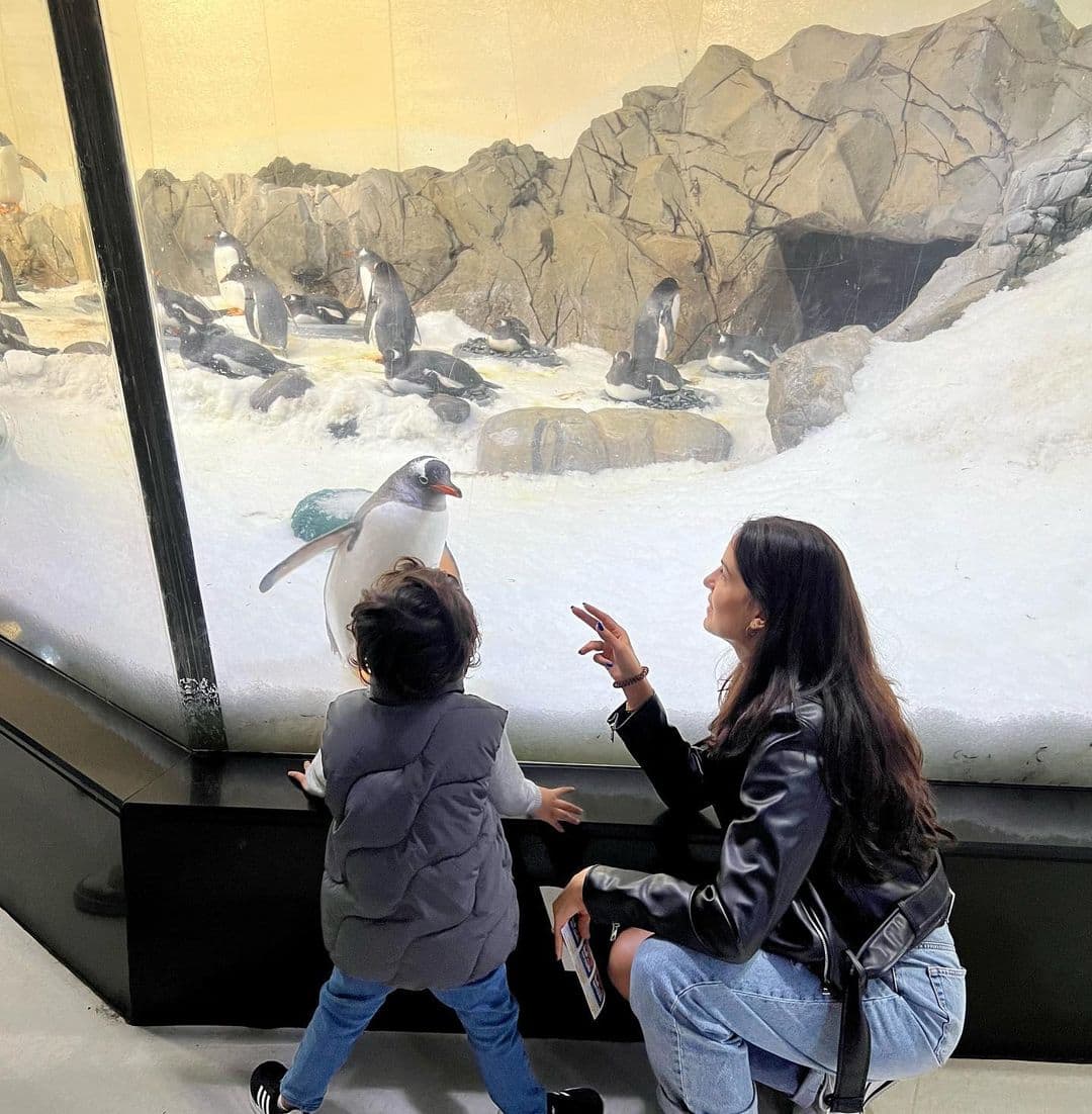 Agastya Pandya meeting a penguin