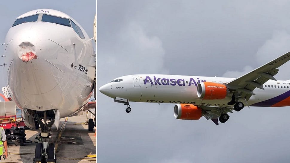 Akasa Air&#039;s Boeing 737 MAX suffers damage after bird hit on Ahmedabad-Delhi flight